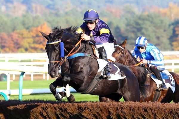 Prix Terra Botanica (steeple-chase) - Prince de Bellouet rattrape le temps perdu