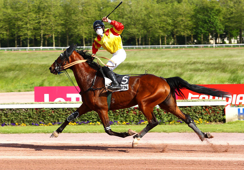 Le prix Lavater pour allers vers le Président