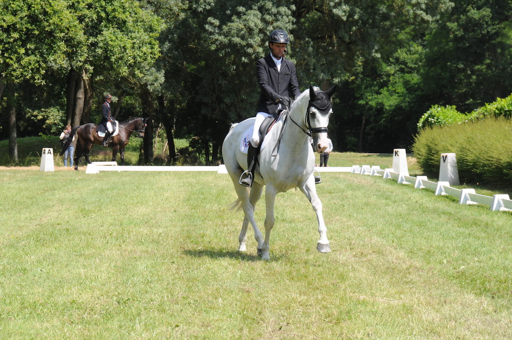 Ambiance feutrée pour la reprise des compétitions jeunes chevaux au Lion d'Angers