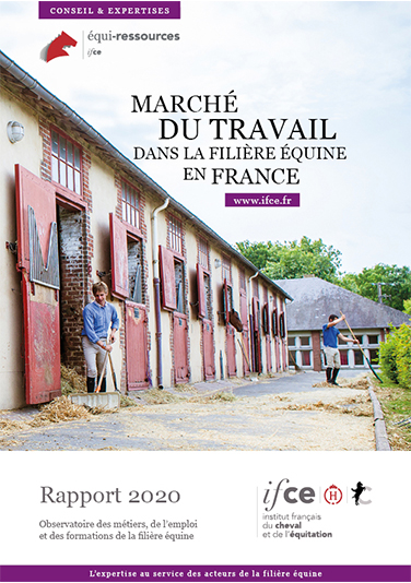 Rapport national sur le marché national du travail en 2020