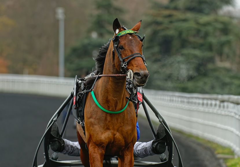 MEETING D'HIVER : LE PRIX DE SÉLECTION POUR LA CONCLUSION