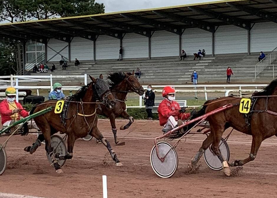 Cholet. Des courses hippiques à huis clos mais retransmises sur le site Equidia ce dimanche 7 mars