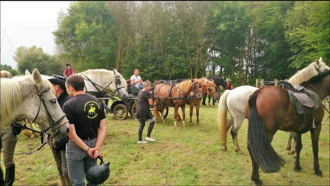 Courcebœufs. L’association Rando, Nature et Galop veille sur les chemins des cavaliers et marcheurs