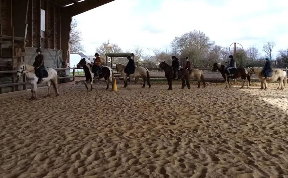 Mauges-sur-Loire. Le centre social s’offre une journée cheval