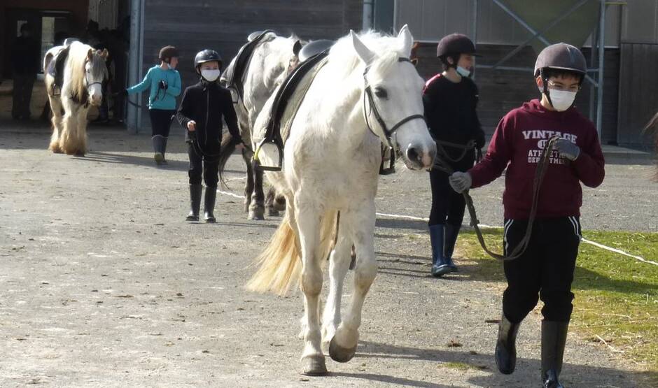 Craon. 80 écoliers de Saint-Joseph découvrent l’équitation