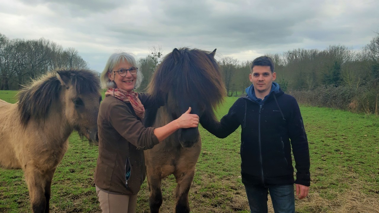 Loire-Atlantique : rencontre avec une passionnée de chevaux islandais