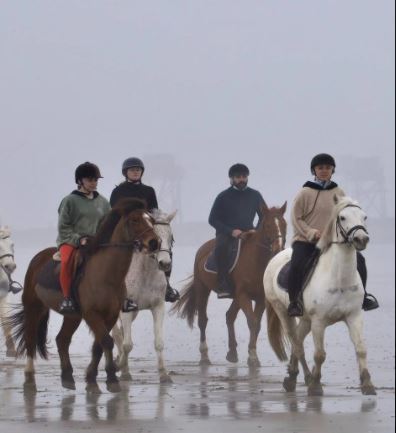 La Plaine-sur-Mer. Joalland équitation accueille malgré les contraintes sanitaires