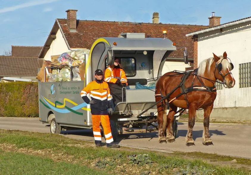 Le Mans. Un cheval va collecter le tri sélectif dans la cité Plantagenêt