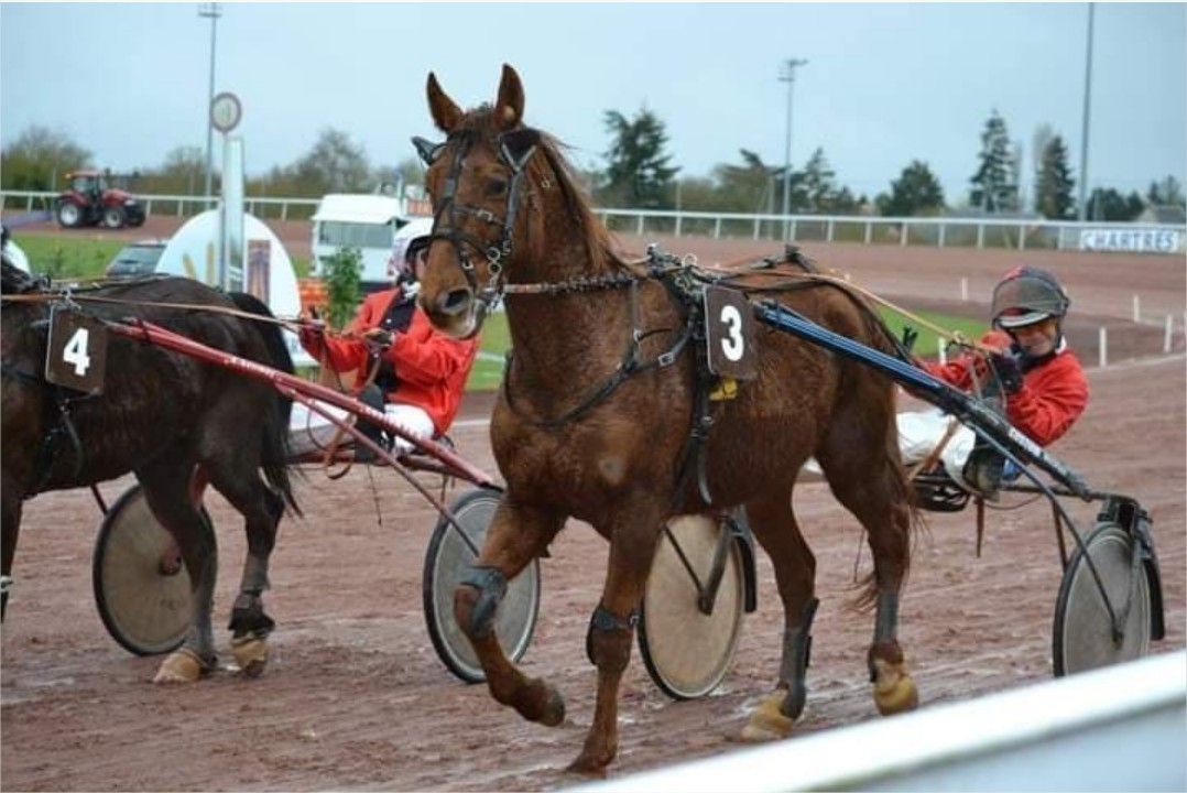 Jean-François Moquet sillonne la France pour gagner des courses de chevaux
