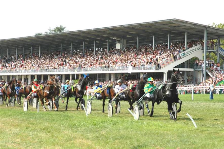 Les hippodromes vont retrouver leurs spectateurs à partir du 19 mai