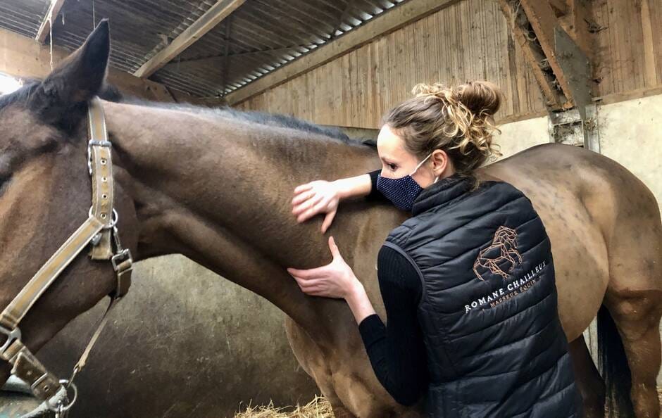 Les Sables-d’Olonne. Romane Chailleux bichonne les muscles des chevaux