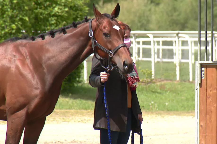 Sarthe :  les hippodromes retrouvent eux aussi leur public