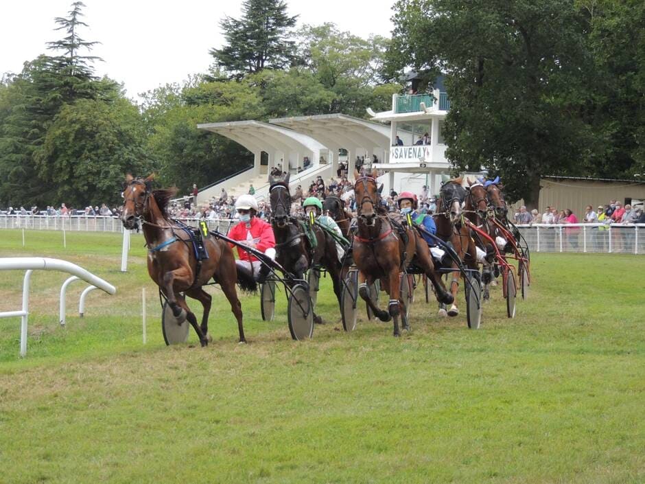 Savenay. L’hippodrome de Touchelais (re)part en pole position