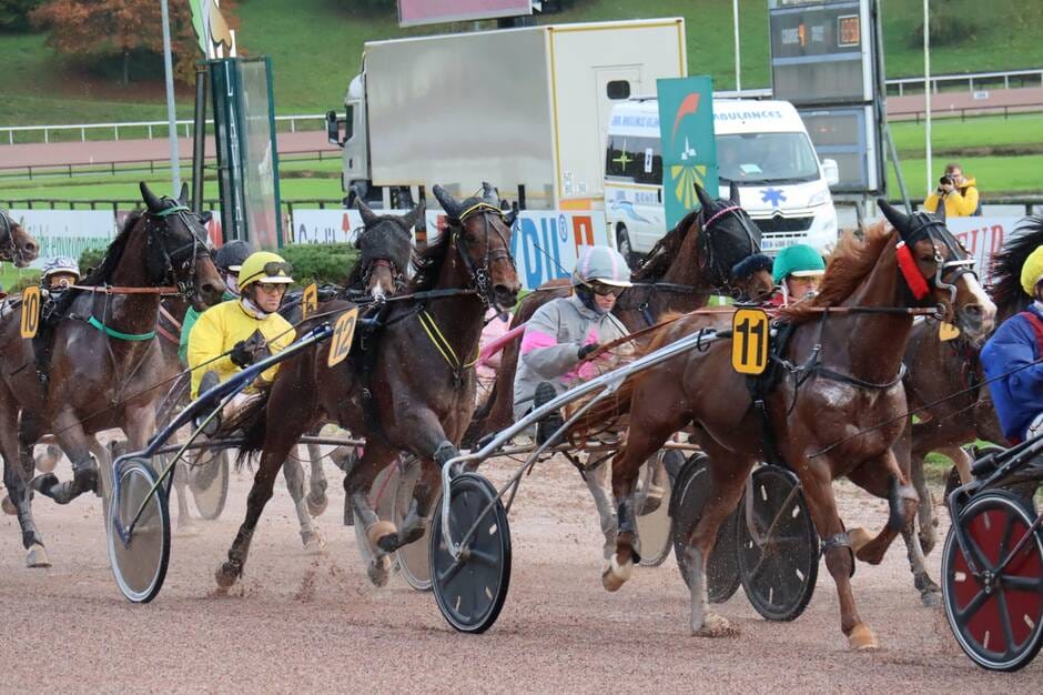 Laval. 1 000 visiteurs admis à l’épreuve du Grand national du Trot