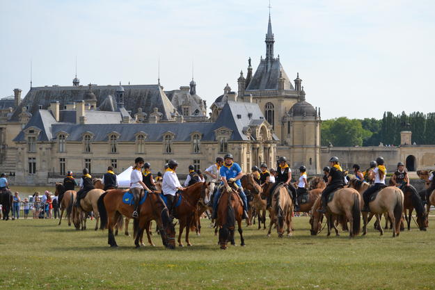 LA ROUTE EUROPÉENNE D'ARTAGNAN CERTIFIÉE ITINÉRAIRE CULTUREL EUROPÉEN !