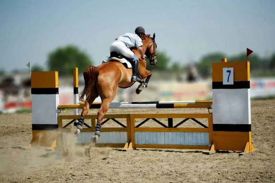 Équitation. Les Herbiers retrouvent le saut d’obstacles du 18 au 20 juin