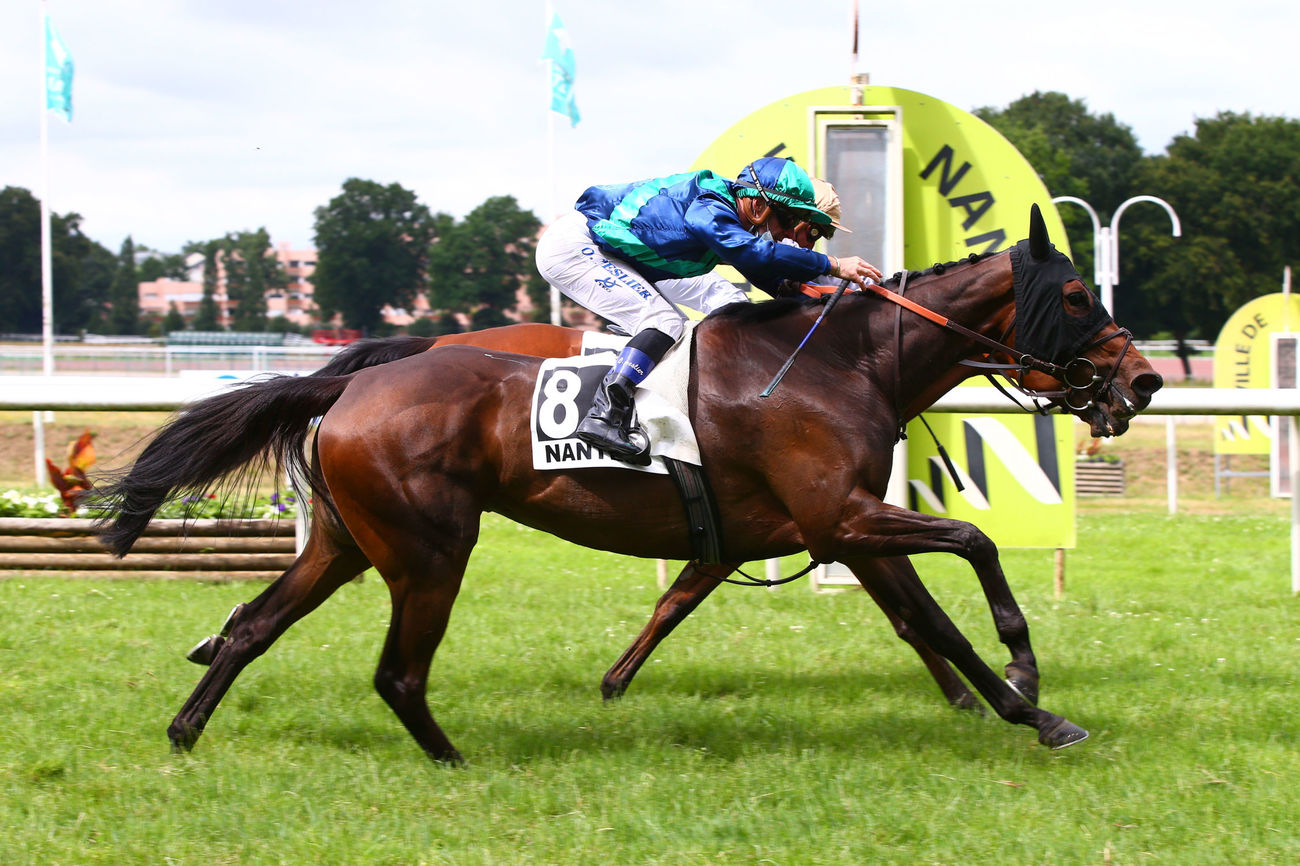 Grand Prix Anjou-Bretagne - Haras du Saz (L) : Padovana, un succès acquis de haute lutte