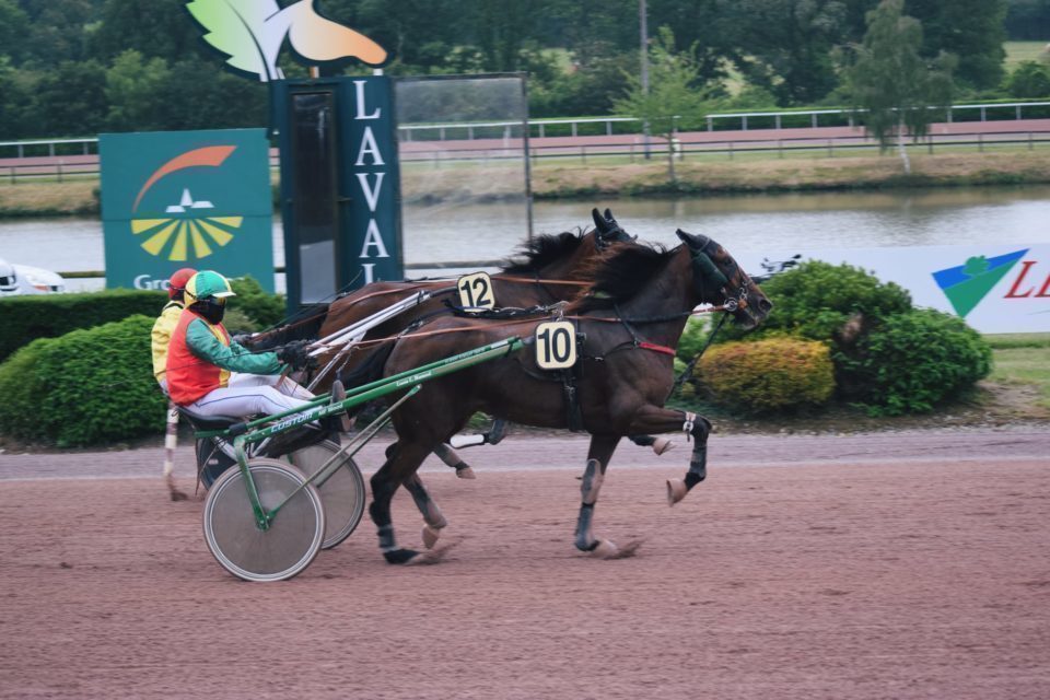 Courses hippiques : le driver de Châteaubriant Julien Lavainne remporte une course à Laval