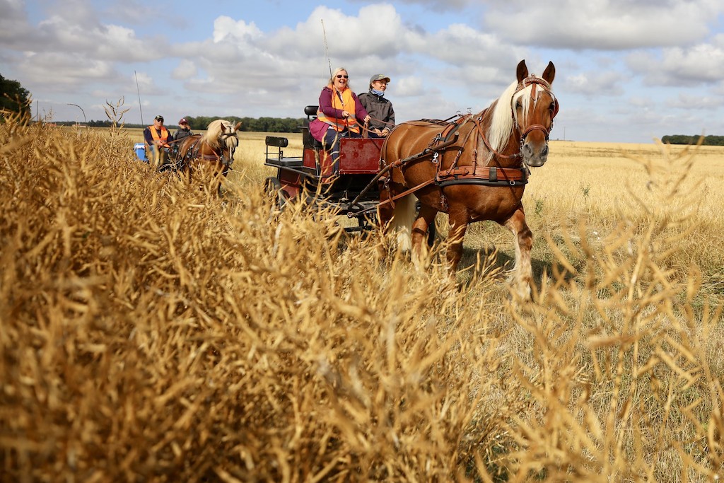 L’Equirando s’invite en Maine-et-Loire pour sa 53ème édition