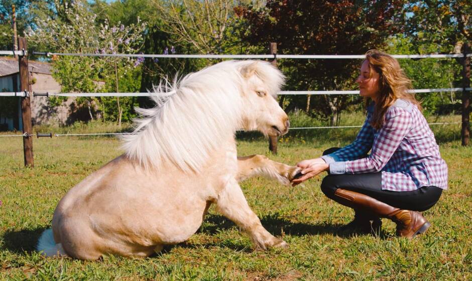 Animations autour du cheval au Clos des Anges