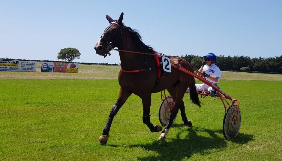 Saint-Jean-de-Monts. Le retour des courses hippiques attire du monde.