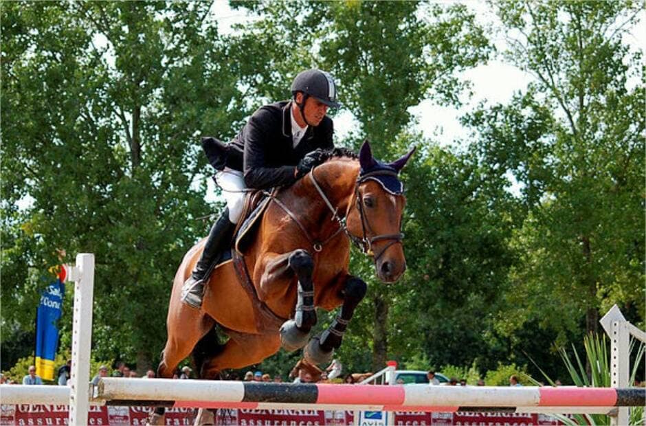 Vendée. Le cheval de compétition, roi de l’élevage local