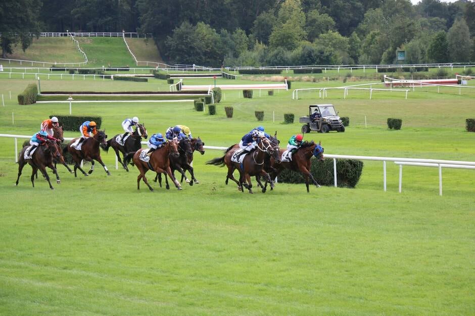 Près de Segré. Courses hippiques au Lion-d’Angers ce jeudi 29 juillet