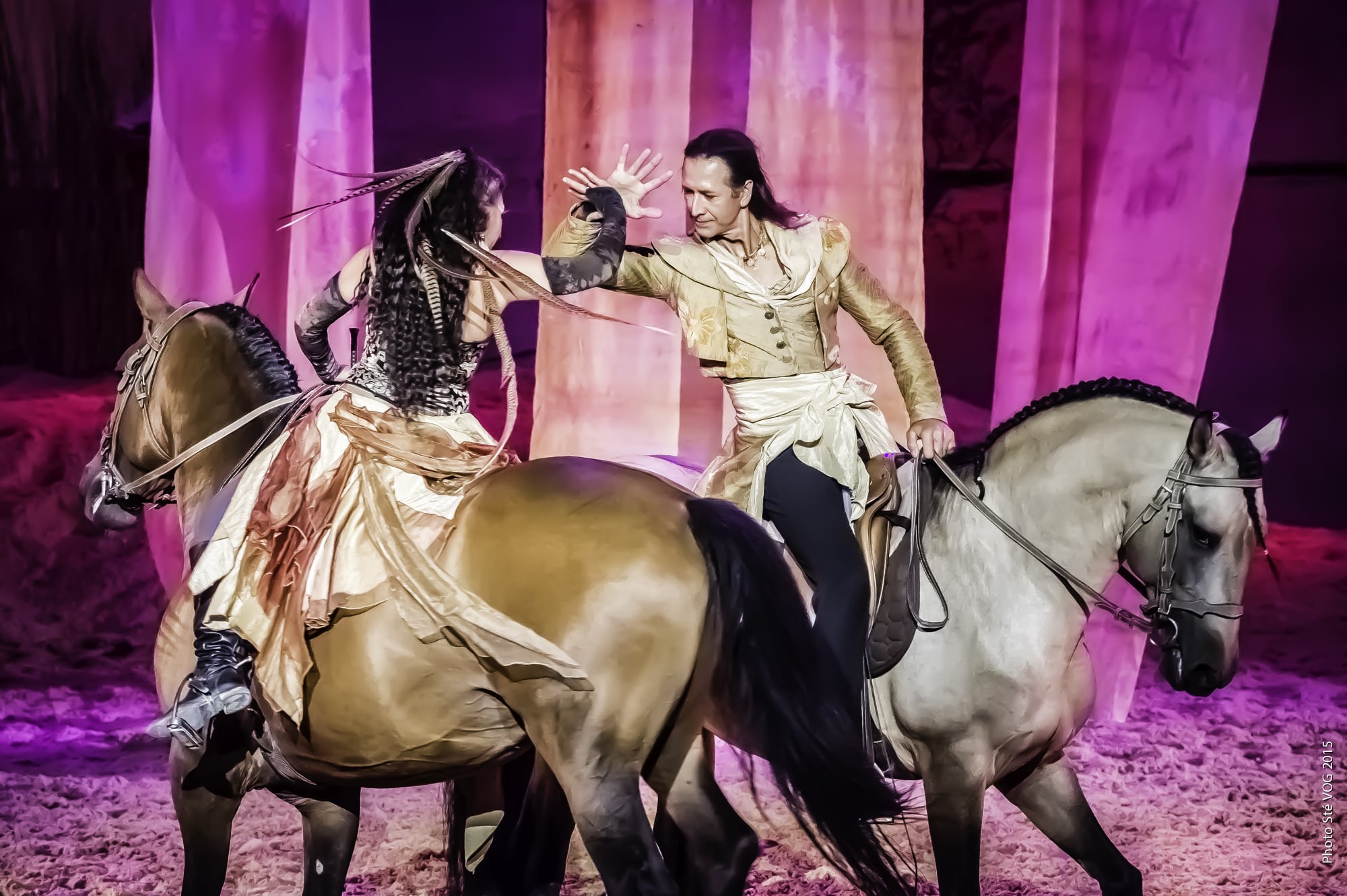 Ouverture de la billetterie du Salon du Cheval d'Angers