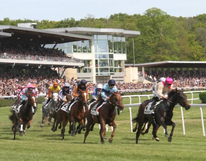 Le Lion-d'Angers. Huit courses hippiques, mercredi, à l’hippodrome