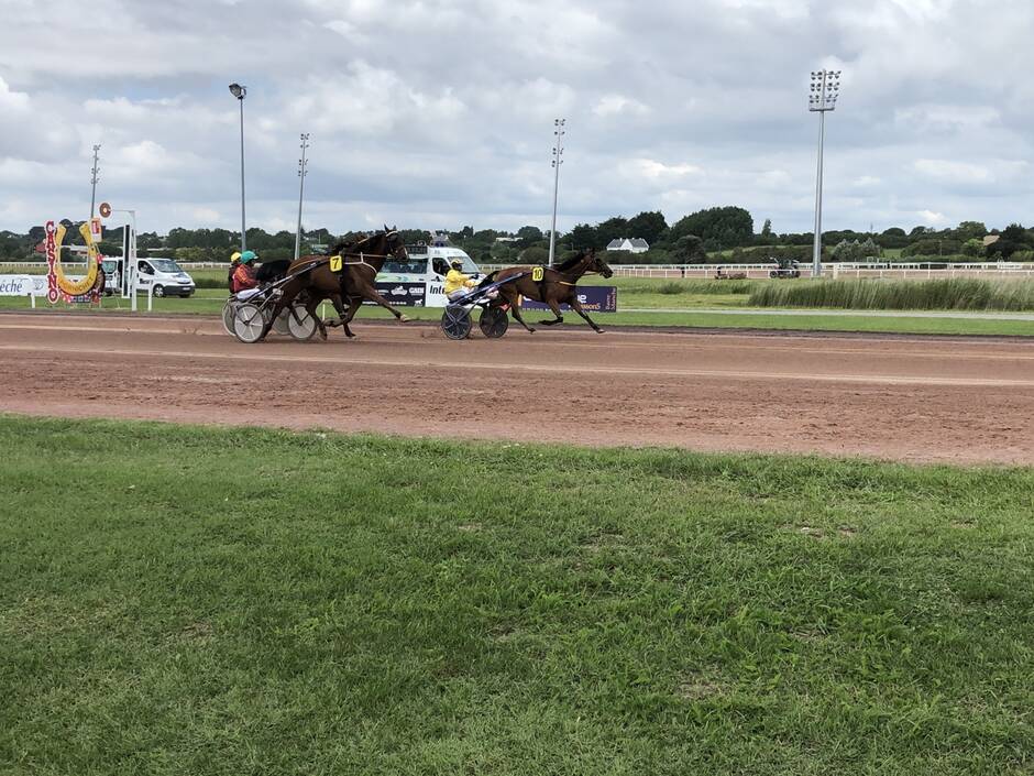 Pornichet. Des courses de trot PMU à l’hippodrome de la Côte d’Amour