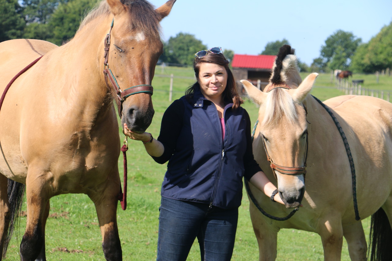 Dans le Nord-Mayenne, Camille Ferandin s'occupe des chevaux à domicile