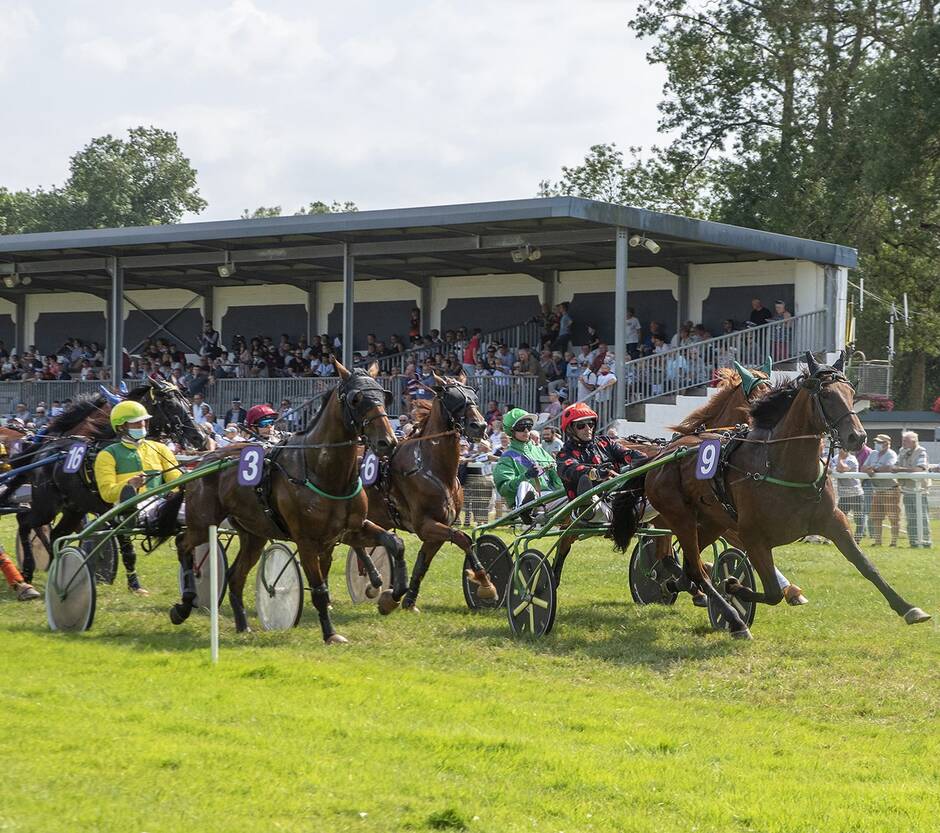 Rochefort-sur-Loire. Succès pour le premier week-end de courses équestres