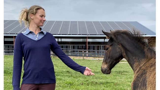 Anjou Foal Show 2021: Ça se précise !