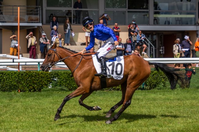 France Sire Poney Cross Challenge : retour sur la  5è étape au Lion d'Angers, remportée par Pierre Remoué.