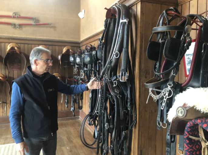 Vendée. Les chevaux sont au cœur de leurs métiers.