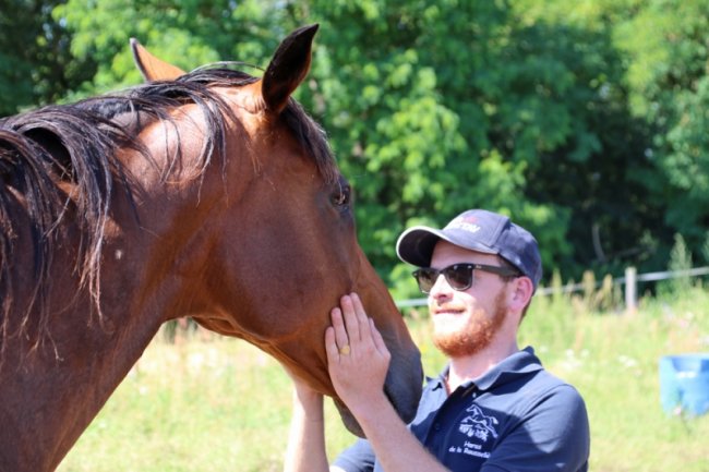 Haras de la Rousselière : l'avenir se prépare sous les yeux de l'heureux retraité Un de Sceaux !