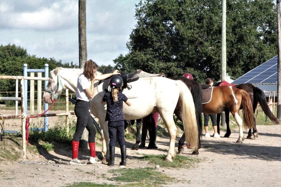 Vendée. Poneys et chevaux forment les futurs cavaliers