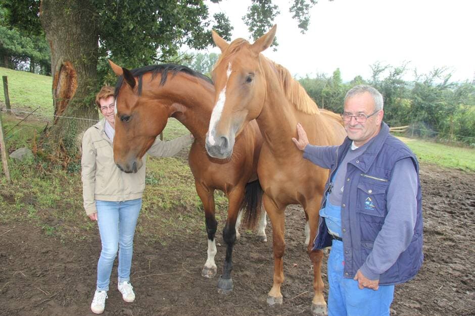 Les Herbiers. L’élevage de chevaux des Peux veut franchir les obstacles