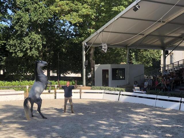 La Roche-sur-Yon. Au Haras, un spectacle d’été jusqu’au 31 août