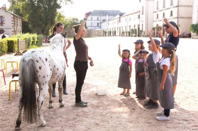 La passion du cheval se découvre au Haras de Vendée