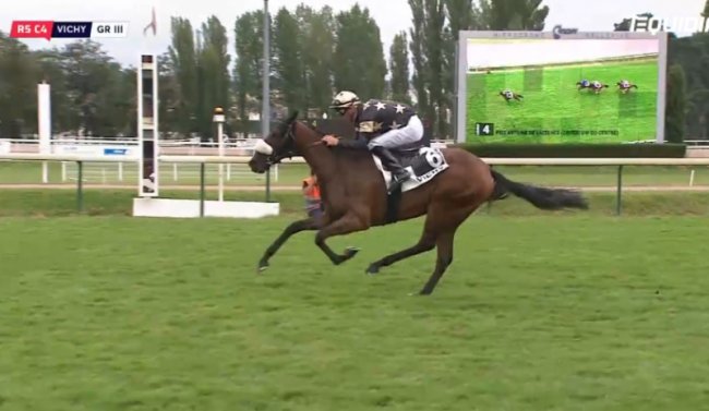 Le sacre d'Ingrandes à point nommé avant le Show Lumet et l'Anjou Foal Show