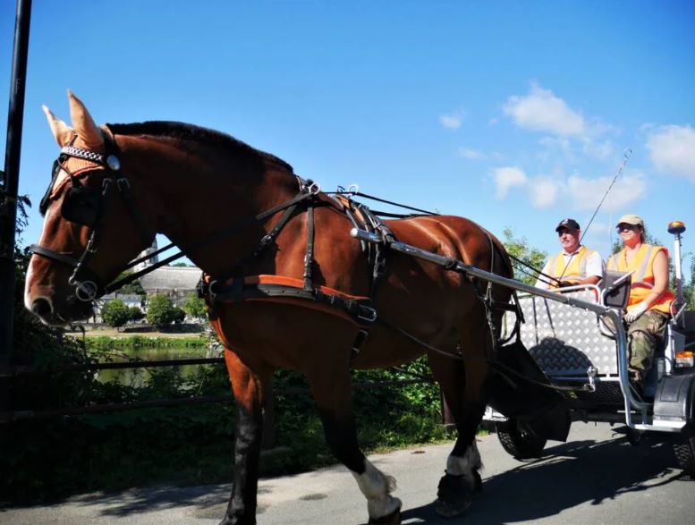 Saumur. Ramasser les déchets au rythme du cheval