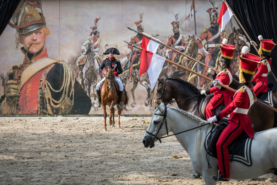 Dans les coulisses du Haras de la Vendée