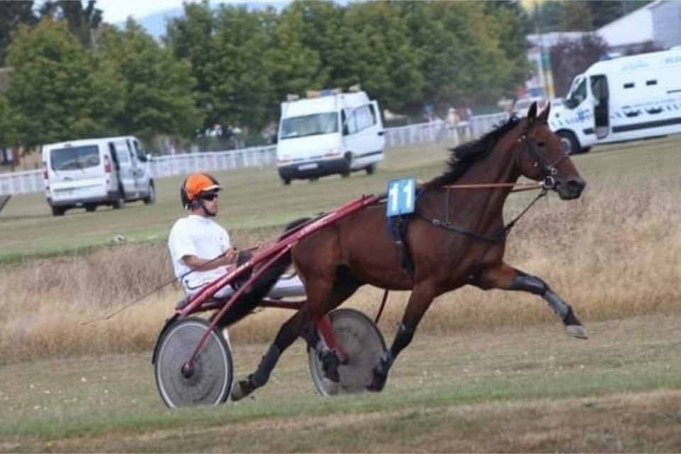 Pays de Châteaubriant : Jean-François Moquet sillonne la France pour gagner des courses de chevaux