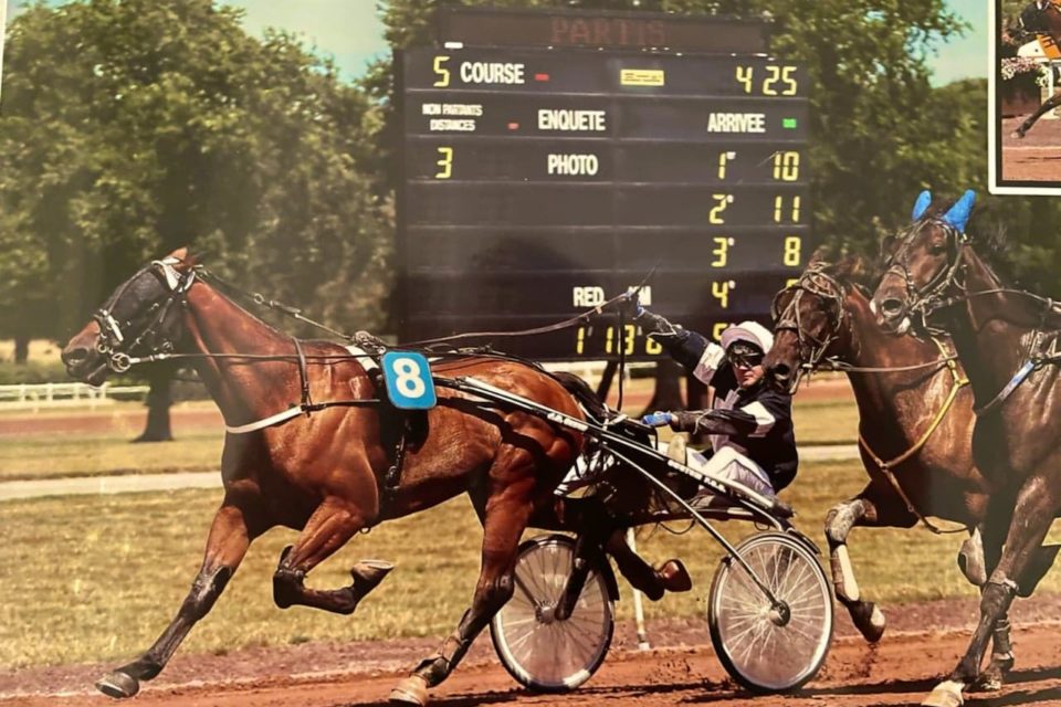 Hippisme: rencontre avec Julien Lavainne, ambitieux driver de Châteaubriant