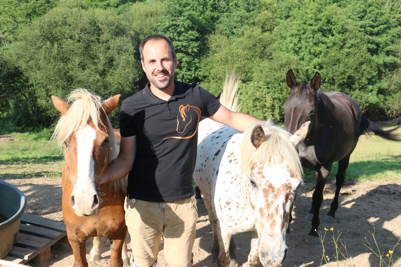 Nord-Mayenne : l’Equifeel, une discipline pour mieux communiquer avec son cheval