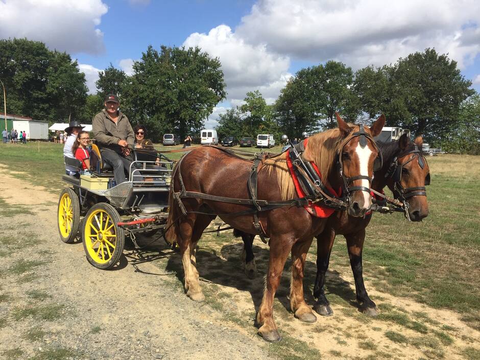 Andrezé. Découvrez la randonnée en attelage ce dimanche 5 septembre