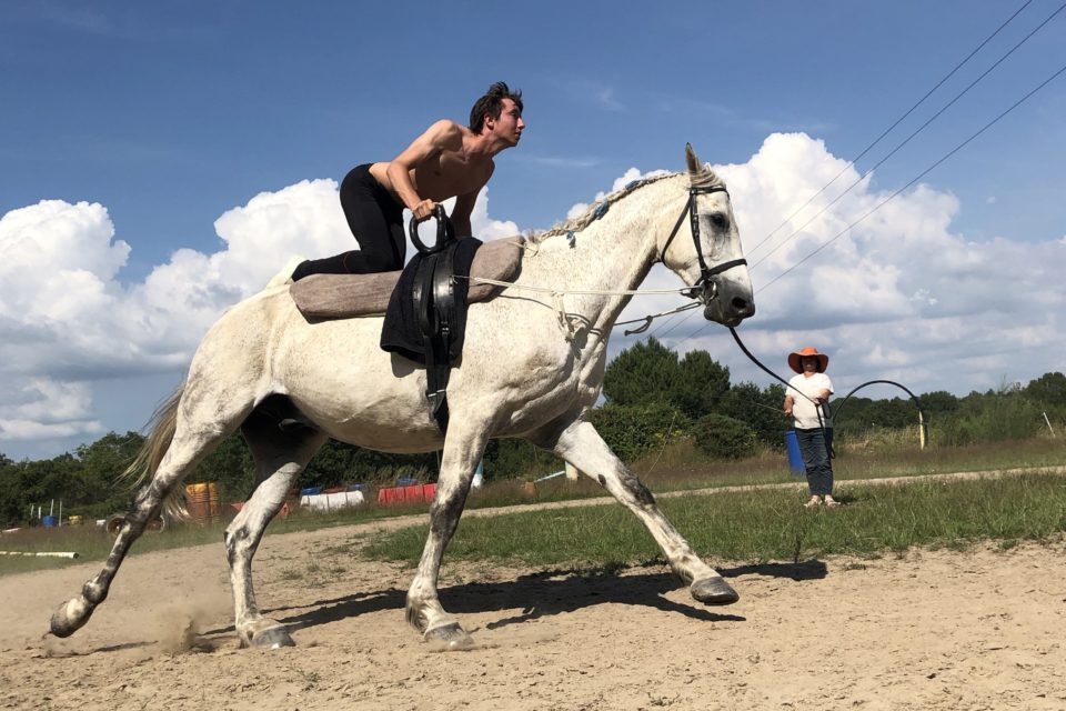 Voltige équestre : ce jeune compétiteur de la Loire-Atlantique est champion de France