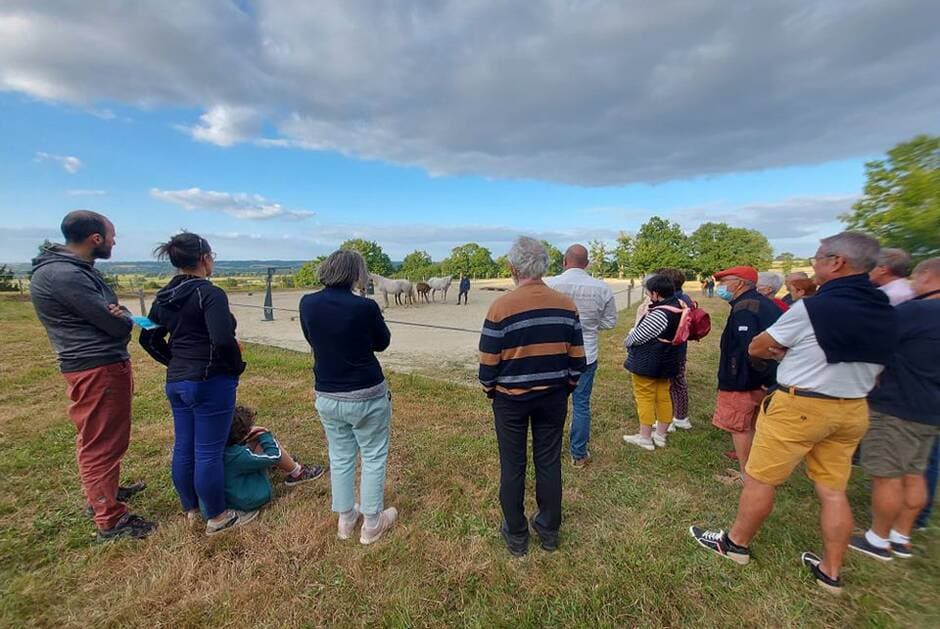 Sèvremont. À la découverte de l’équitation de travail