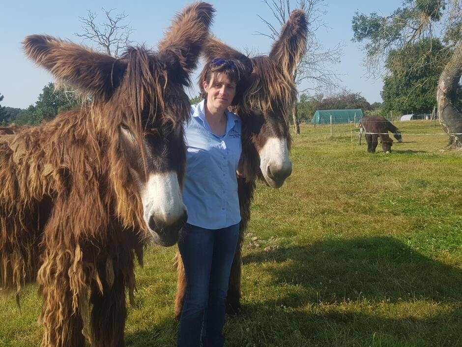 Races mulassières. Un prix pour l’éleveuse vendéenne Sophie Gaborit